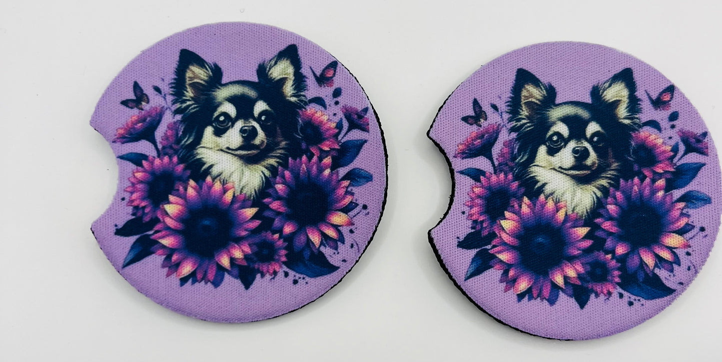 Chihuahua