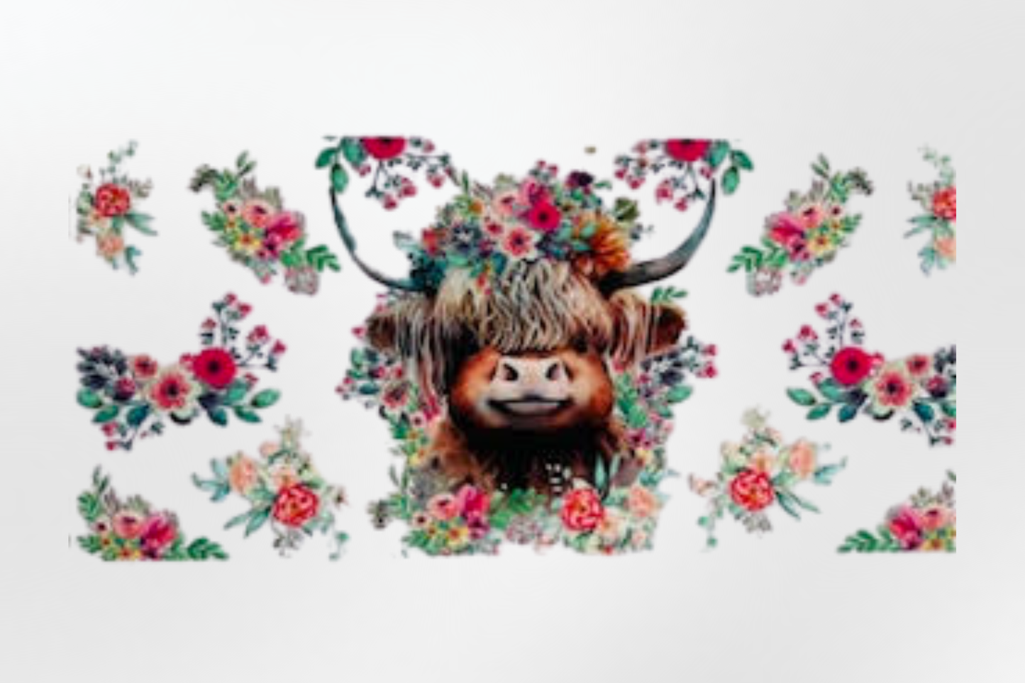 HIGHLAND COW