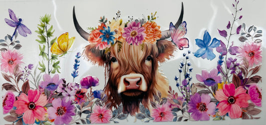 Highland cow