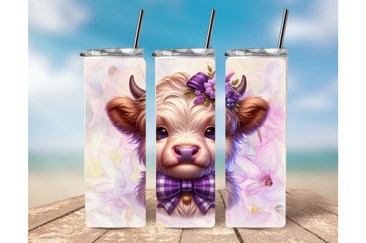 HIGHLAND COW