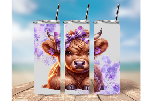 HIGHLAND COW