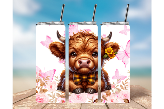 HIGHLAND COW