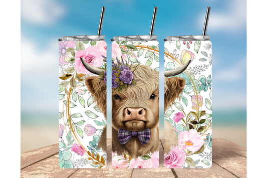 HIGHLAND COW