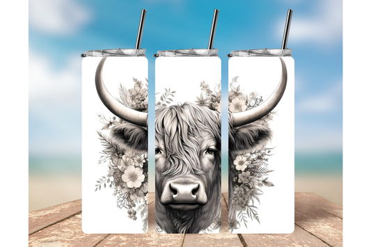 HIGHLAND COW